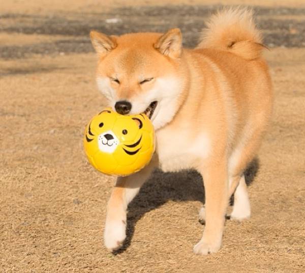 147