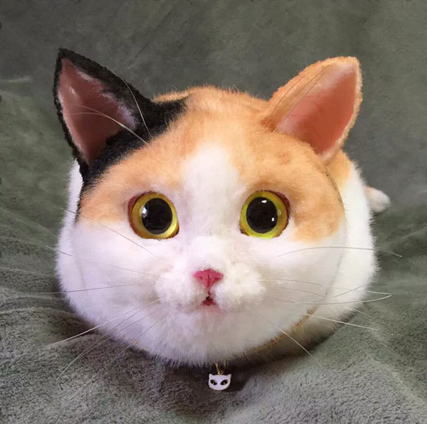 521